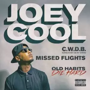 Instrumental: Joey Cool - Coolie Wit Da Bitches